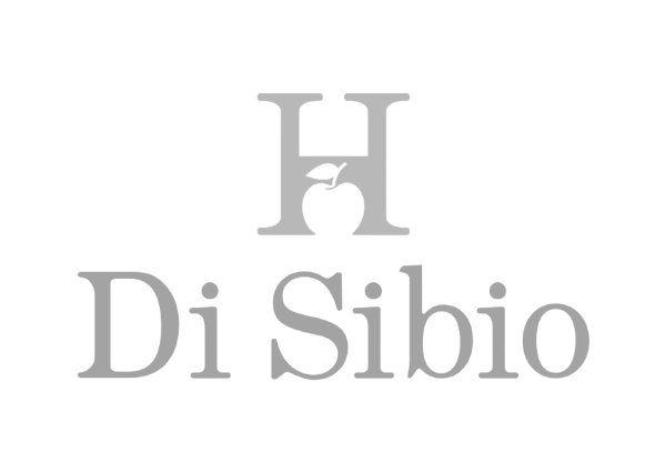 HDS-Logo-1-removebg copy